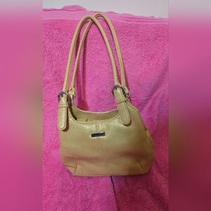 Elegant Tan Handbag